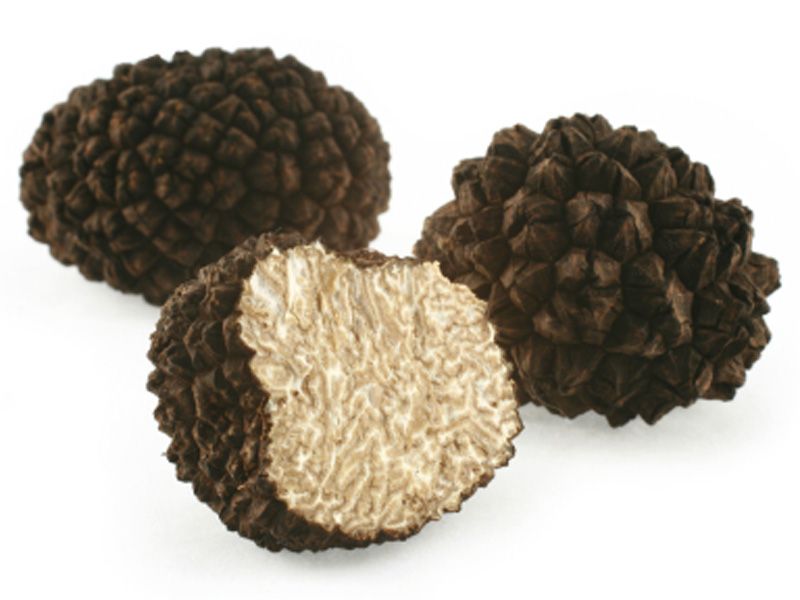 АРОМАТ ТРЮФЕЛЯ