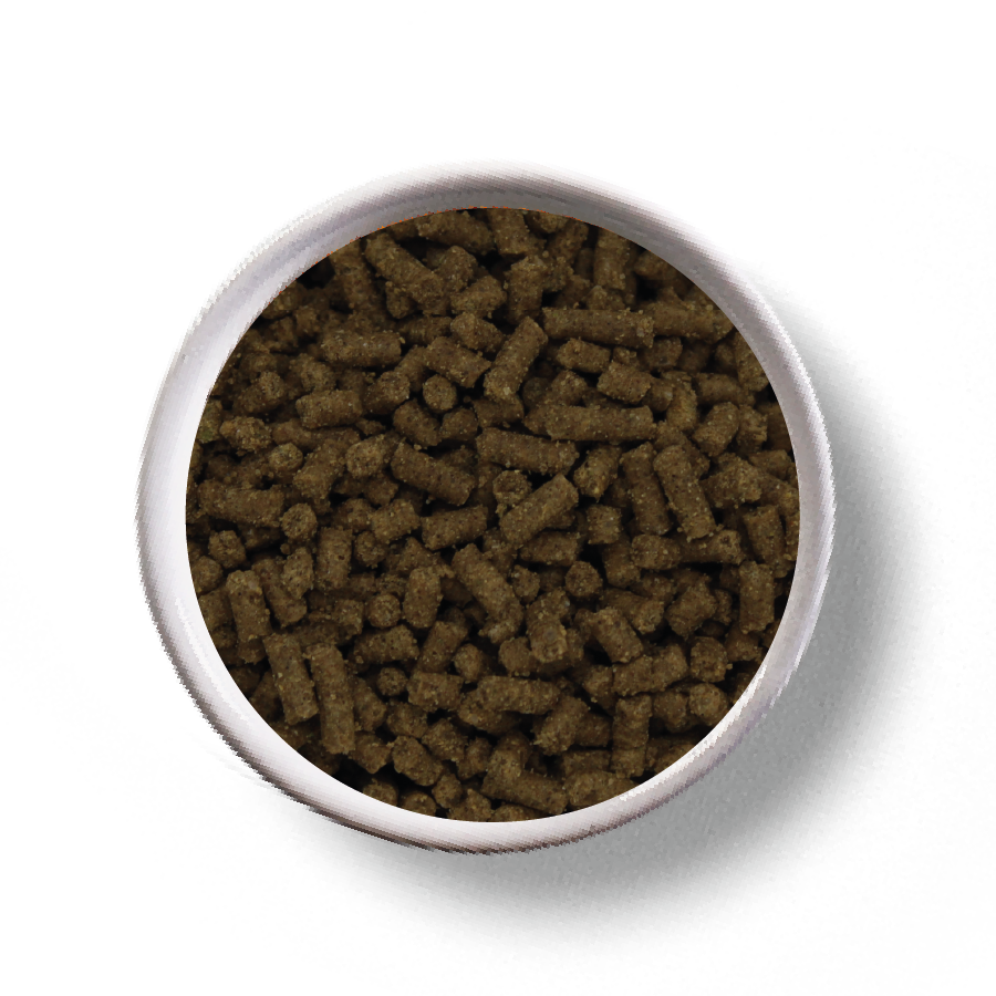 ПЕСТО С ГРИБАМИ ПЕРЛЕТ